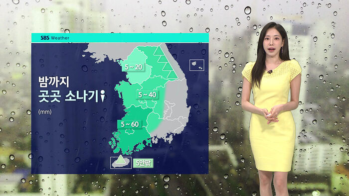 [날씨] 수도권&middot;호남 폭염중대경보&hellip;곳곳 소나기