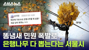똥냄새 민원 폭발로 은행나무 다 뽑는다는 서울시