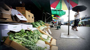 "Nobody's Out There": Businesses Stalled by Scorching Heat Waves