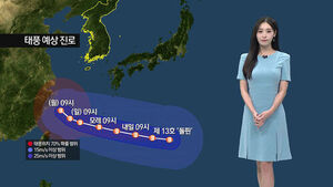 Afternoon Showers Mainly in Western Regions; Current Location of Typhoon Dolphin