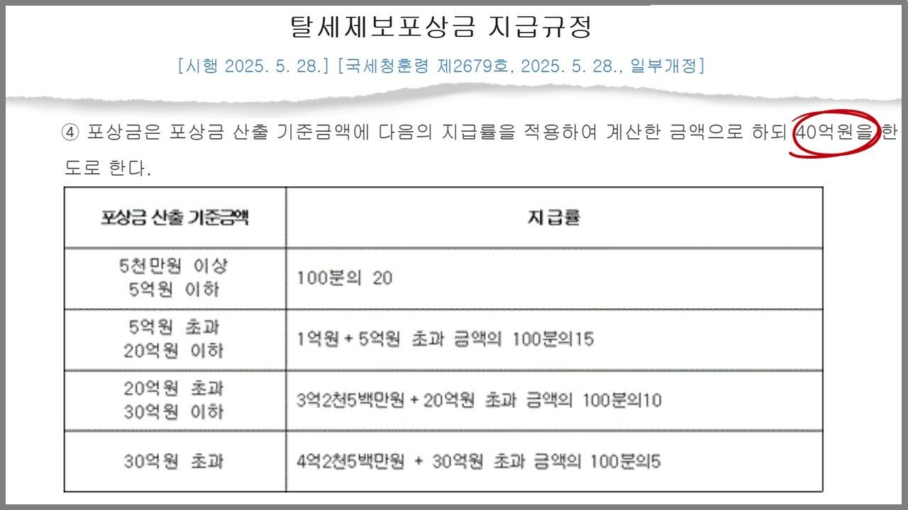 차은우 탈세 의혹 포상금 팩트체크 사실은