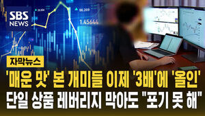 3배에 올인