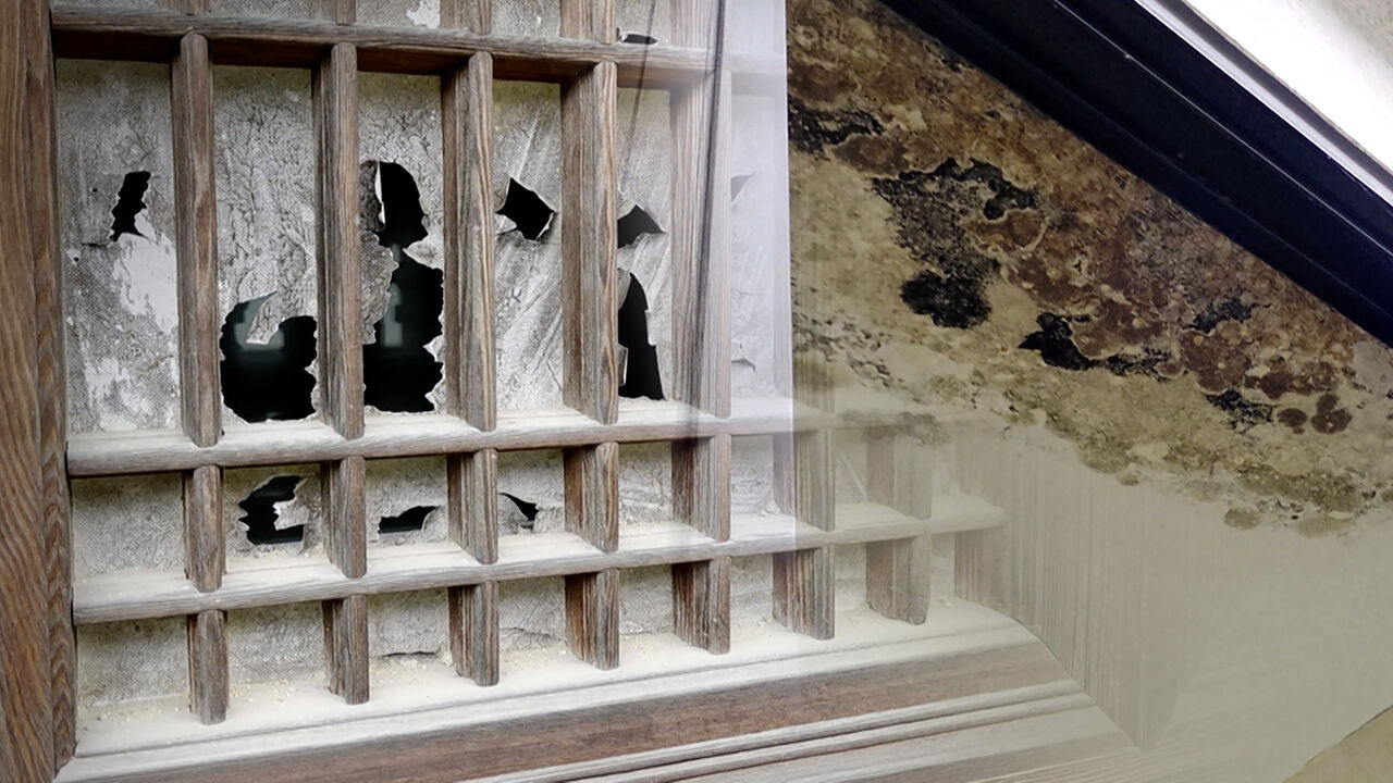 Templestay abandoned