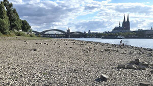 Rhine River Drops More Than 2 Meters, Exposing Riverbed: Europe's Lifeline Dries Up