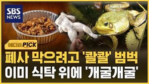 황소개구리