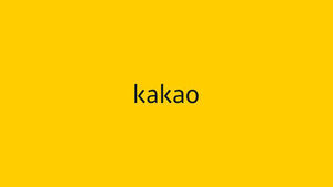 Kakao Posts Record-High Q2 Revenue and Operating Profit Driven by Platform Competitiveness