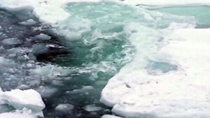 Glaciers Melt into Massive Waterfall Amid Record Heat... From Blackouts to Mass Protests