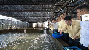 Fishery Sector Suffers Mounting Damage from Heatwave, with 450,000 Farmed Fish Dead and 1.05 Billion Won in Losses