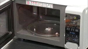 How to Use a Microwave in Summer... 'Misuse Can Lead to Food Poisoning'