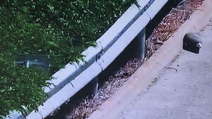60cm Artillery Shell Found on Expressway Sparks Alarm... Here Is What It Turned Out to Be