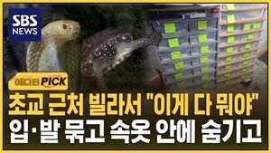 멸종위기동물