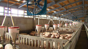 Struggling to Eliminate Odor... Changes After Investing 2 Billion Won