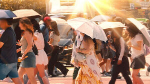 Seoul Surpasses 40°C for the First Time in 8 Years..."Hotter Than a Sauna"