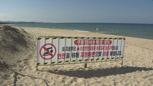 "Swimming Prohibited" Without Even Lifeguards... Casualties Mount