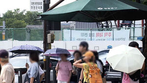 나무의 열 저감 효과가 인공 그늘막보다 낫다