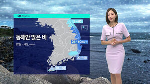 동해안 많은 비 강수량 지도와 날씨 캐스터