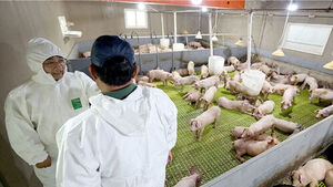 Interior Ministry Inspects Migrant Worker Conditions... Emphasizes "Water, Shade, and Rest"