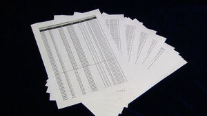 "Voter Numbers Entered in Advance... 117 Cases Found in Local, Presidential, and General Elections"