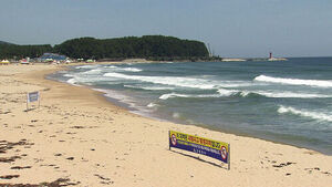 "Even Skilled Swimmers Are at Risk"... East Coast on High Alert for Rip Currents