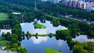 'China's Silicon Valley' Transforming Beyond Tech Into Eco-Friendliness