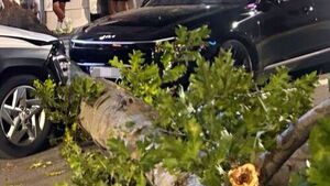 Street Tree Uprooted in Gwangsan-gu, Gwangju-Jeonnam; Two Vehicles Damaged