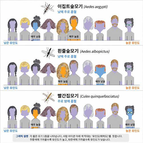 모기 종별 사람 유인도 비교 (사진=iScience, Matthew DeGennaro et al.제공, 연합뉴스)