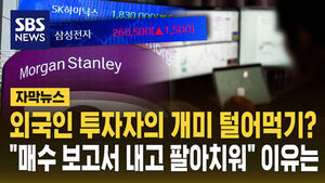 [자막뉴스] 외국인 투자자의 개미 털어먹기?&hellip;"매수 보고서 내고 팔아치워" 이유는