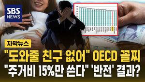 "No Friends to Help" Lands Korea at OECD Bottom... "Only 15% on Housing Costs" a "Twist"?