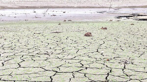 "Scant Rain, Relentless Heat"... Severe Drought Emergency in Southern Regions