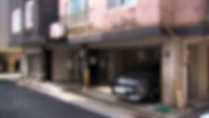 Blue House Secretary with Multiple Homes Earned Monthly Rent from Illegally Extended Villa