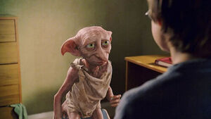 Harry Potter Fans Force Power Grid Project to Reroute to Protect Dobby's Grave