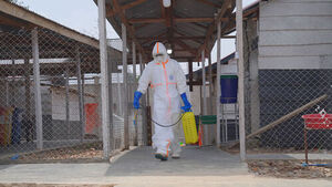 DR Congo Ebola Deaths Exceed 2,000 in Under Three Months, Fatality Rate at 46%