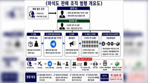 Telegram Drug Ring Leader 'Ma Seok-do' with 3,000 Members Arrested and Indicted