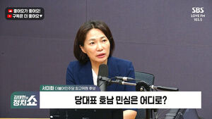 Seo Mi-hwa: "Drop in Approval Ratings Caused by Loss of Core Base? Jung Chung-rae Leadership Bears Heavy Responsibility... Shaking Up the President Like This"