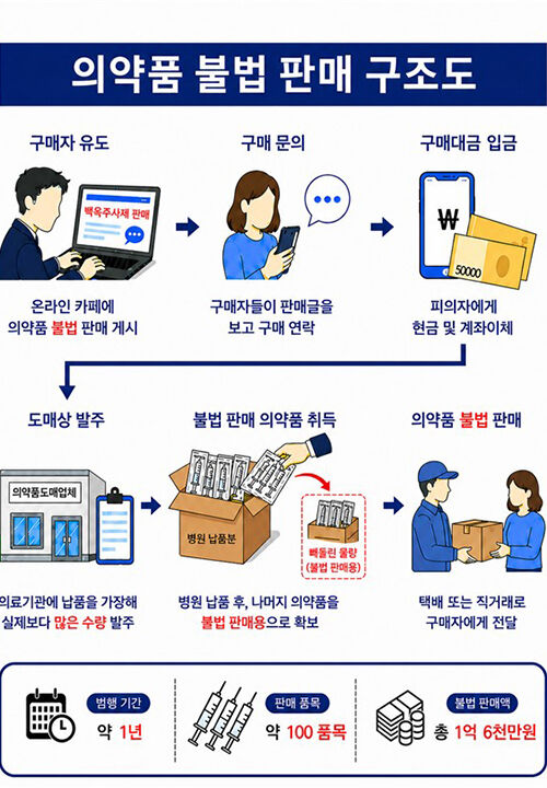 의약품 불법 판매 구조도 (사진=식품의약품안전처 제공, 연합뉴스)