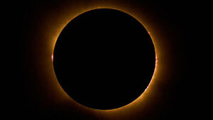 "Once-in-a-Lifetime Opportunity": Europe Awed by "Century's Solar Eclipse Space Show"