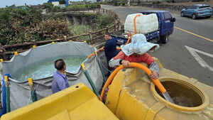 "1-Ton Trucks Have Limits": Carrot Farmers in Jeju Stressed Over Drought