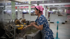 "Looking to Hire North Korean Women Good at Making Kimbap?"... Advertisements Appear in Russia