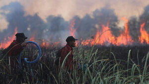 Wildfires Rage Across Indonesia, Closing 108 Schools in Neighboring Malaysia Due to Smog