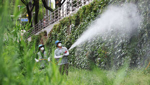 Nationwide Malaria Alert Issued as Authorities Brace for Post-Heatwave Mosquito Surge