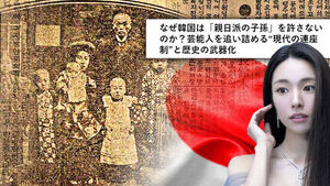 "일본에 돈 벌러 오면서" "친일 강박"&hellip;일본도 끼어든 하영 '증조부 논란'