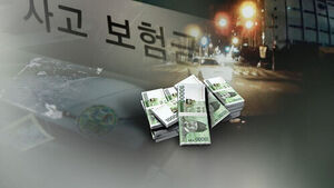 "You Changed Lanes, Right?"... Driving Porsche and BMW in Intentional Accidents for Insurance Fraud