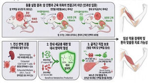 암 환자 위협하는 합병증 '악액질', 장내 미생물로 조절