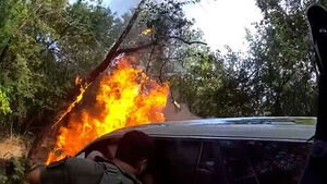 "Suspicious Vehicle in Woods" Report... Driver Trapped as Car Goes Up in Flames