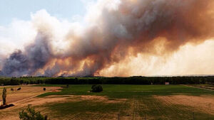 Wildfires That Rattled Paris Were Arson: France Faces 'Worst Wildfires'