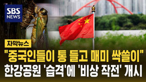 Seoul Takes Action as Cicada Poaching in Parks Sparks Concerns
