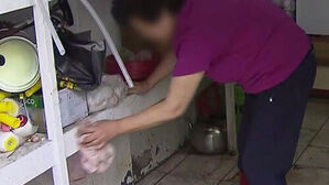 "Everything Was Washed Away," Devastated Citizens Face Severe Flood Damage in Tongyeong
