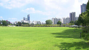 Fierce Debate Erupts Over Yongsan Park as Push for Housing Accelerates