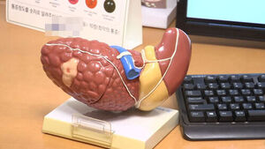 1 in 4 South Korean Adults Has Metabolic Dysfunction-Associated Fatty Liver Disease&hellip; Healthy Lifestyle Cuts Risk by Up to 32%