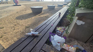 What Is Left Behind Memories of Summer Nights: Illegal Acts and Disorder by Vacationers